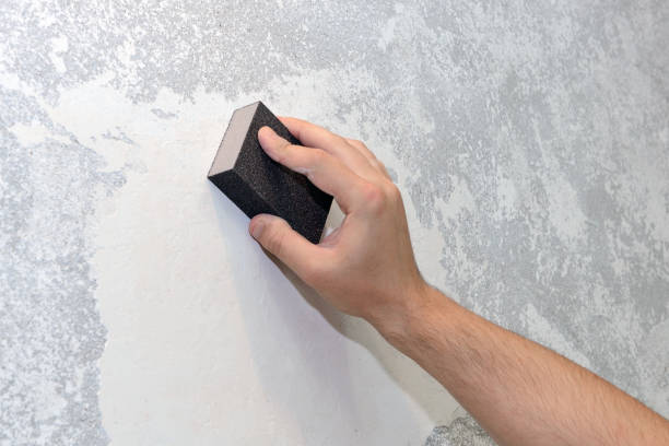 Best Comprehensive Air Testing for Mold Contaminants  in Poway, CA
