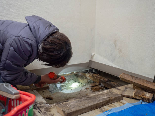 Best Forensic Mold Investigation  in Poway, CA