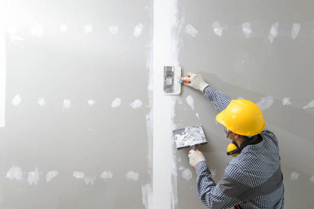 Best Mold Documentation for Insurance Claims  in Poway, CA